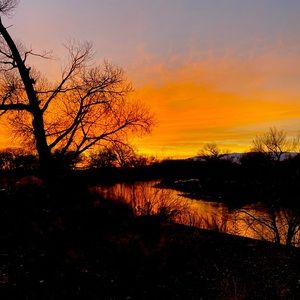 Meet your Posher, Cat